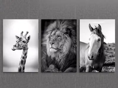 Picture Animals 3D model