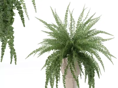 Fern in modern flower pot 3D model