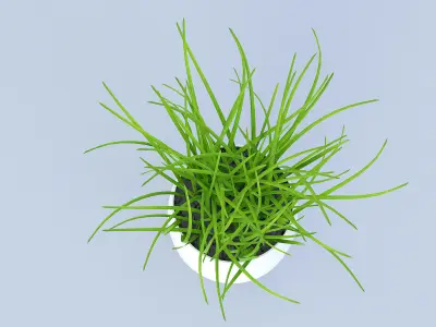 Flower Grass Pot 3D model