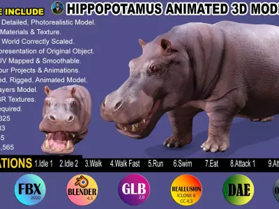 Hippopotamus Rigged Animated 11 Low-poly 3D model