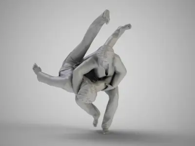 Judo Training 3D print model