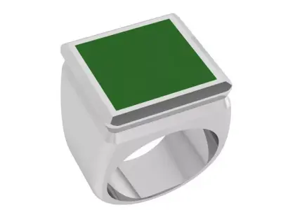 Square Ring 3961 3D print model
