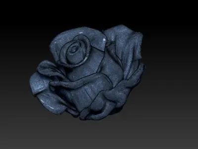 Rose Flower printable 3d model Detailed Realistic 3D model