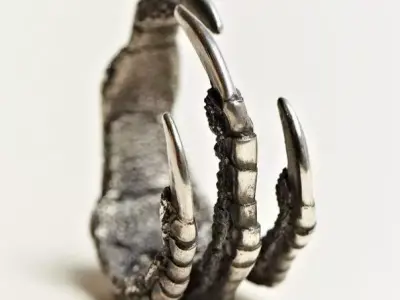 Claws ring  Free 3D print model