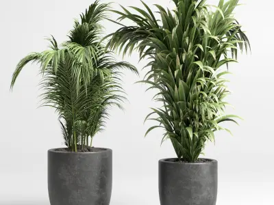 collection Indoor plant 46 vase concrete 3D model