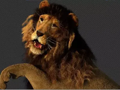 Lion King 3D model