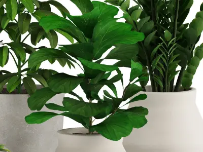 Indoor Plant Set 001 3D model