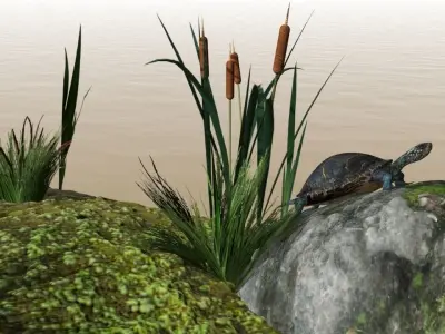 swamp assets 3D model