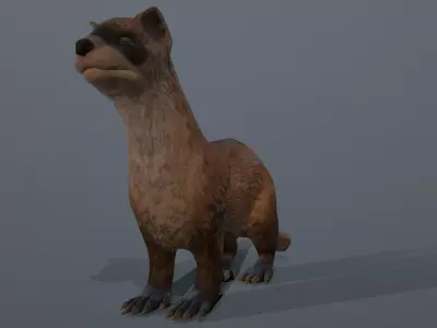 Black-footed ferret Low-poly 3D model