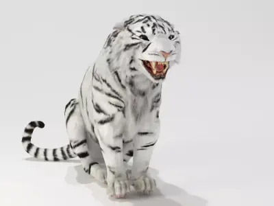White tiger 3D model