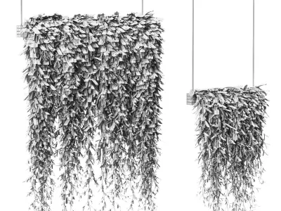 Plants in Hanging Planters v2 - 2 models 3D model