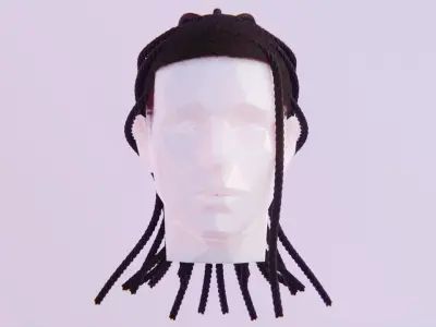 Long Dreads 3 - Braided Low-poly 3D model