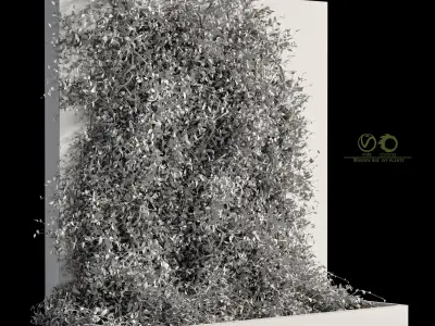 Wooden box ivy plants 01 3D model