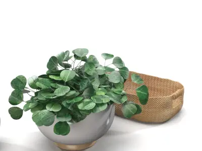 Coffee Table Decor 13 PBR 3D model