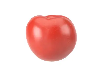 Photorealistic Tomato 3D Scan 3D model