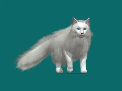 Maine Coon Cat 3D model