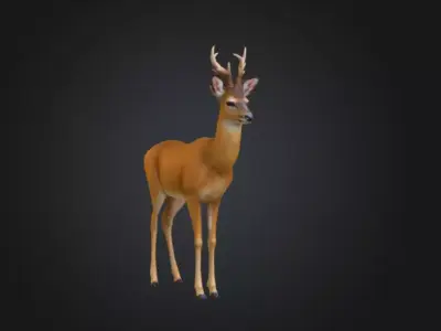 Graceful Stag Low-poly 3D model