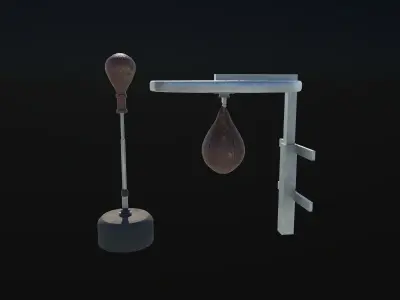Reflex Punch Bag 3D model