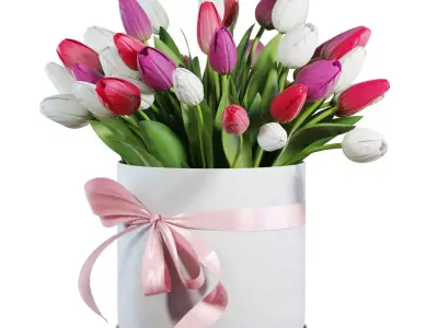 Flower Set 21 - Pink and White Tulips Bouquet 3D model