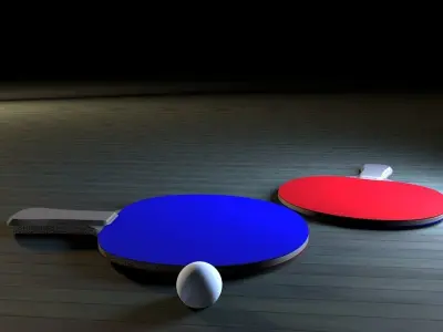 Ping Pong Paddle 3D model