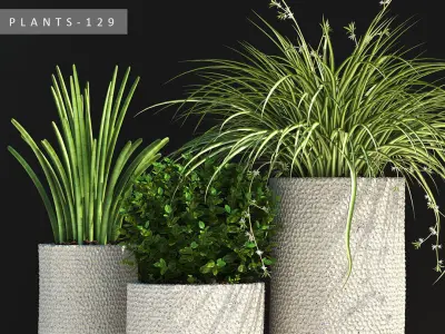 plants set 129 3D model
