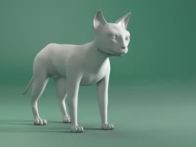 Black and White Cat 3D model buy