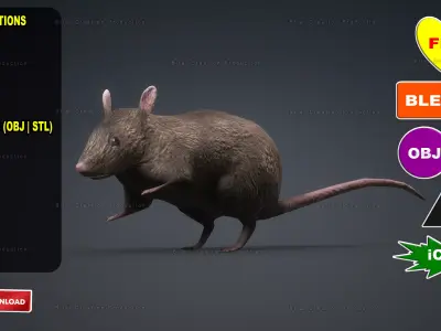 MOUSE GRAY RAT ANIMATED Low-poly 3D model