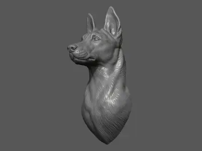 Belgian Shepherd Malinois  with a closed mouth 3D print model