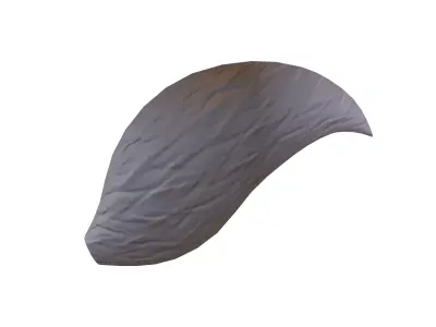 Fox Tail v1 003 Low-poly 3D model