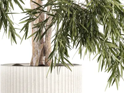 Beautiful weeping willow tree Olive in flowerpot 1346 3D model