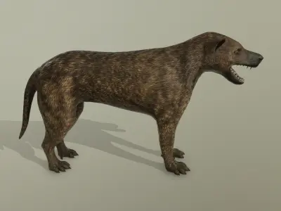 low poly dog Low-poly 3D model 2