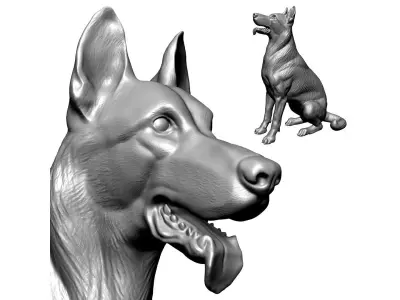 German Shepherd Dog - Low and High poly Model 3D model 3D model