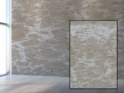 955 plaster Texture