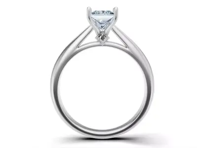 Princess-Cut Solitaire Diamond Ring Free 3D print model