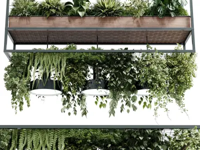 Hanging Plants - pot light - pendant plant - hanging light 563 3D model