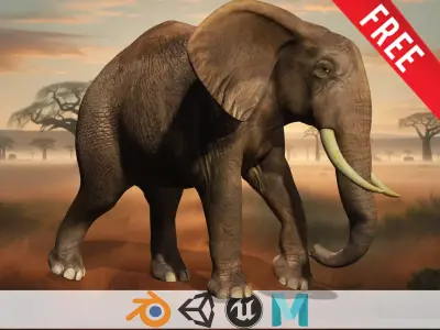 Elephant free Elegance Safari  Low-poly 3D model