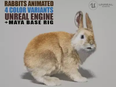 Rabbits Animated UNREAL project  Maya base rig 3D model