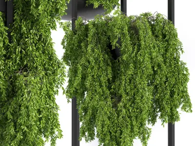 indoor plant set 03 3D model purchase