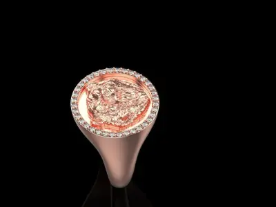 Bear ring full inside 3D print model