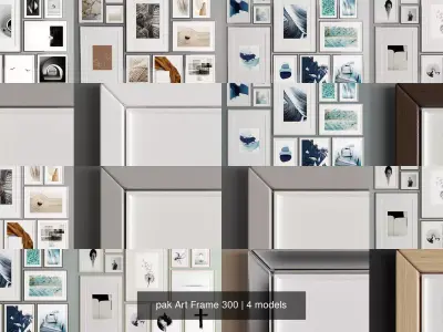pak Art Frame 300 3D Model Collection