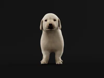 Retriever Puppy Dog 3D model