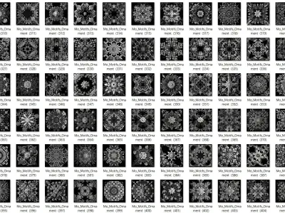   1000 Mega Pack Motifs Ornament Vol3  3D model