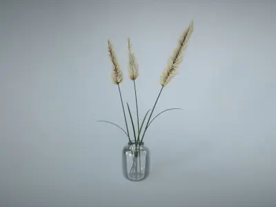 Reed Decoration 3D model