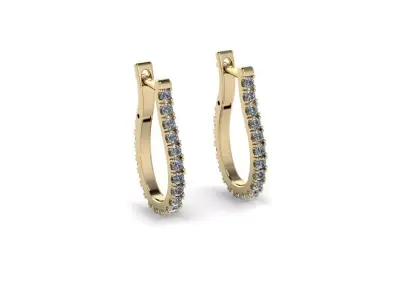 Jewelry Earrings 3D print model buy