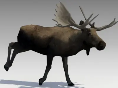 Moose Low-poly 3D model