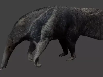 Giant anteater Low-poly 3D model