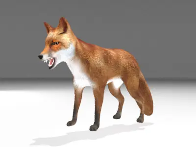 This model Fox Low-poly 3D model