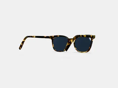 Griffin Sunglasses in Burnt Honeycomb Tortoise 3D model