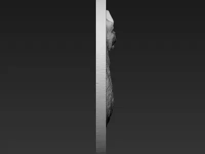 Cat A64 3D print model