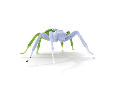 Vibrant Green Spider model pack Low-poly 3D model